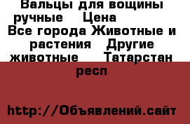 Вальцы для вощины ручные  › Цена ­ 10 000 - Все города Животные и растения » Другие животные   . Татарстан респ.